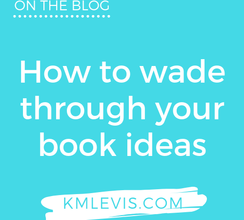 How to wade through your book ideas﻿